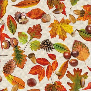 Lunchservietten Herbstfestival – Autumn festival FSC Mix