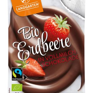 Bio FT Erdbeere in Vollmilch-Schokolade 50g