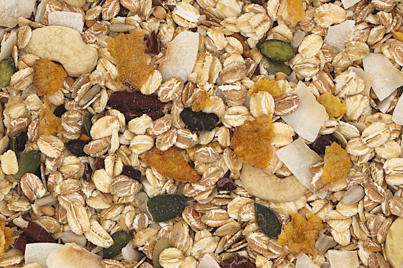 Müsli Nuss bio 12,5kg