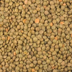 Berglinsen braun bio (Gourmet) 5kg