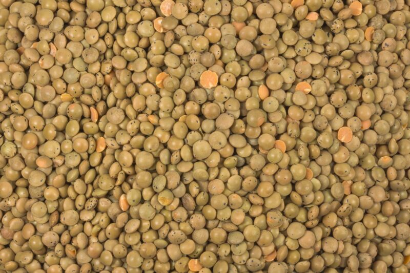 Berglinsen braun bio (Gourmet) 5kg