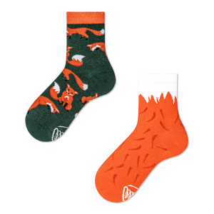 Many Mornings Kids The Red Fox, 31-34