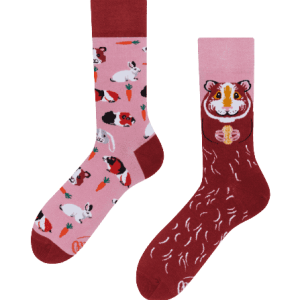 Many Mornings Socks Guinea Pig, 43-46
