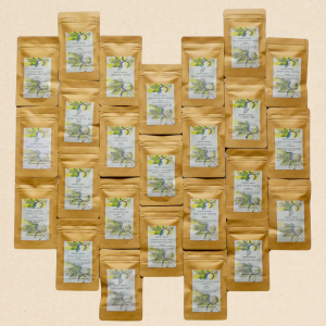 Probierpaket: Von jeder der 25 angebotenen Teesorten 20 Gramm.