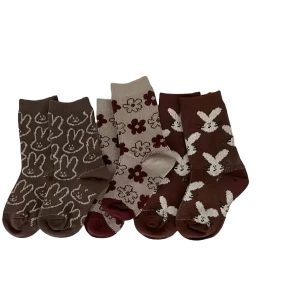 Socken Set, Ddogeng