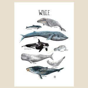 Poster A3, Wale