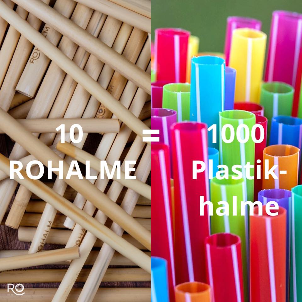 Rohalm•Schilf Trinkhalm Länge 25cm – 100 Stück – Bild 2